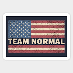 Team Normal USA Flag Magnet